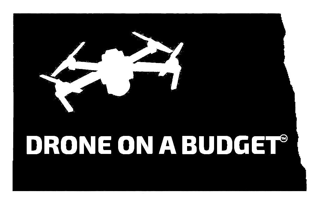 LOGO100 alpha removed