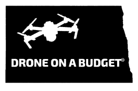 LOGO100 alpha removed